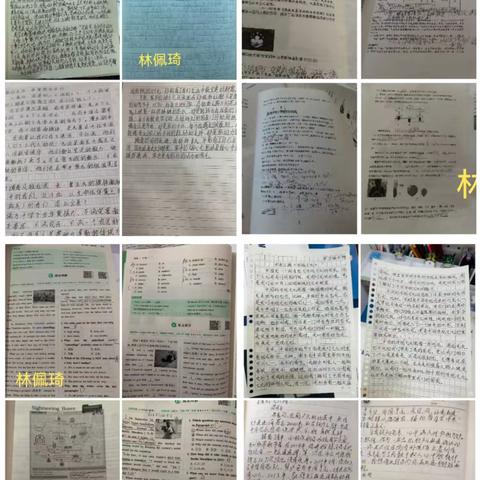 检查促成长，作业展风采