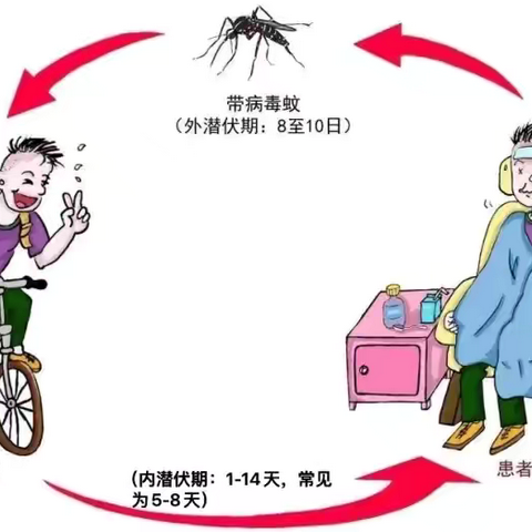 预防登革热 从你我做起 —— 登革热防控知识宣传​