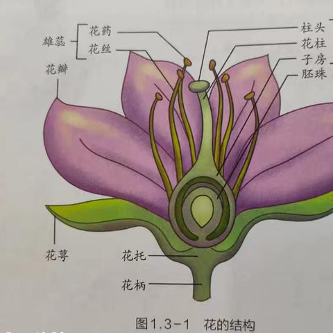 科学观察实践活动