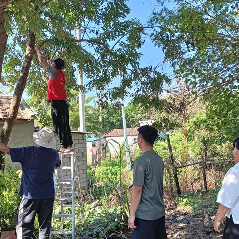 修剪树枝，为群众解决安全隐患