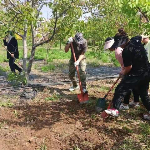 感知生命成长，体验种植乐趣——金城镇中心小学“一米田园”家校种植基地落成记