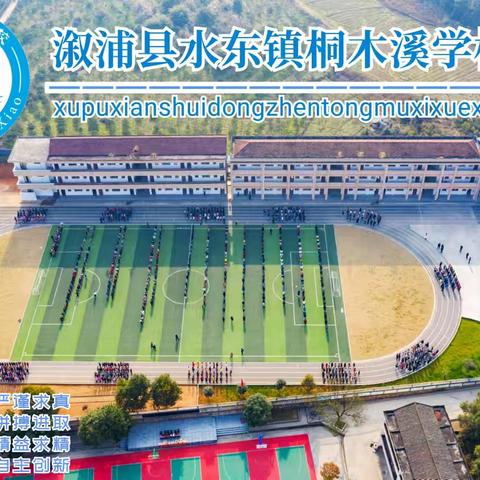 蛇年启智 乐启新程——水东镇桐木溪学校2025年春季入学须知