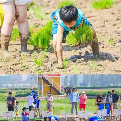 “学农耕，知非遗”——启航乐学游学励志行