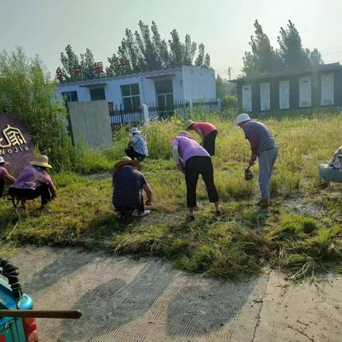 用好用活公益性岗位 刷新人居环境美丽“新颜值”