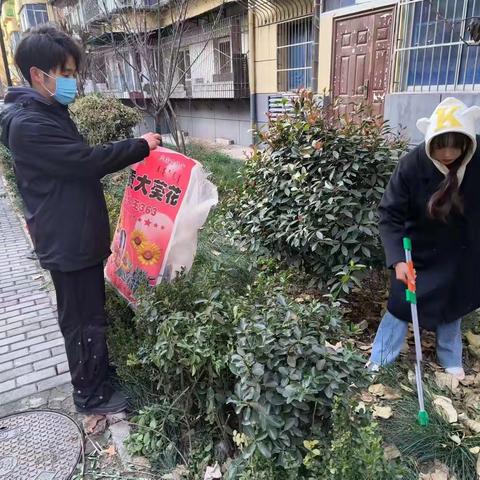 韩森寨街道公园南路社区开展节前大清扫，洁净迎新春