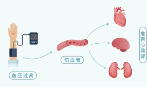 健康科普——血压、血糖、血脂、尿酸的健康标准