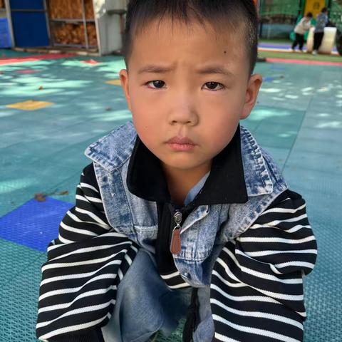 沙池区观察记录