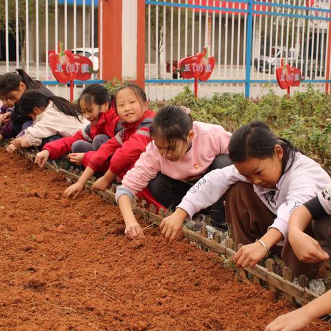 劳动砺心志，实践促成长 -----湖坊中心小学劳动实践基地