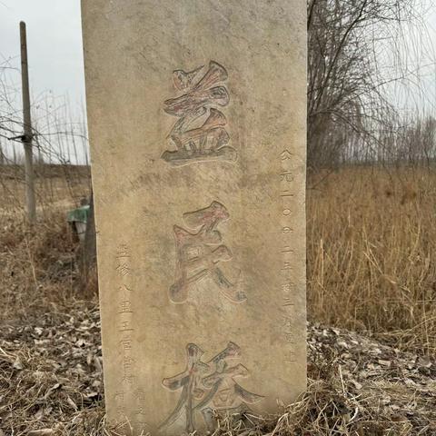 学雷锋好榜样，护河“益”起行—榛子镇王官营小学学雷锋活动月活动总结