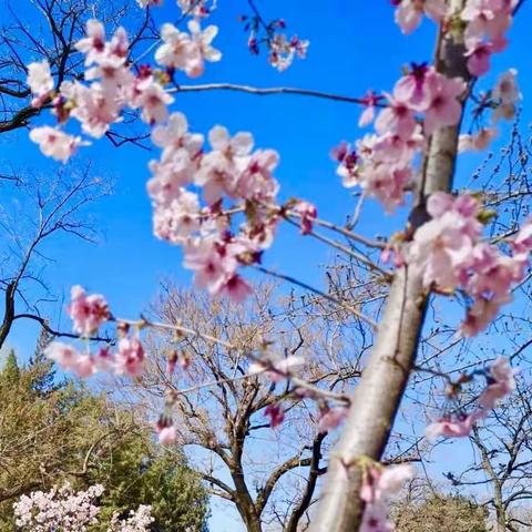 『遇见春天』摄影展示