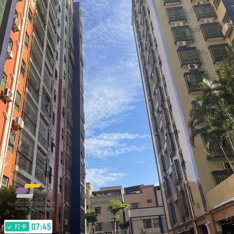 用心服务，客户至上 东洲花园8月工作简报