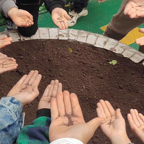 双溪小学附属幼儿园自然课程教育