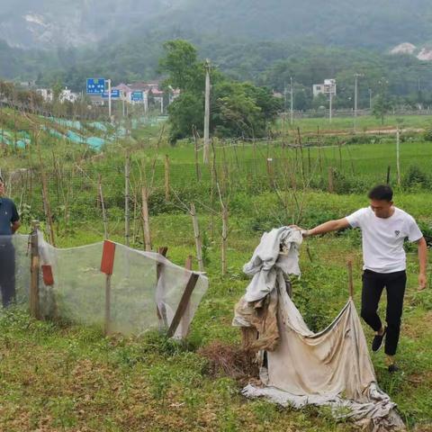 环境整治永远在路上