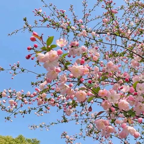 天空很蓝☁️太阳很暖🌞