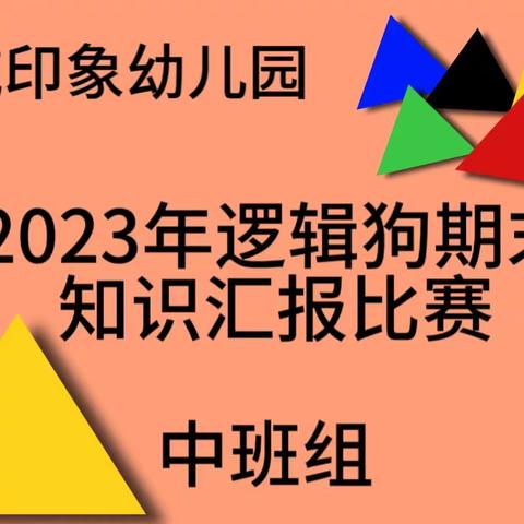 “逻辑狗”儿童思维游戏比赛 北城印象幼儿园——中班组