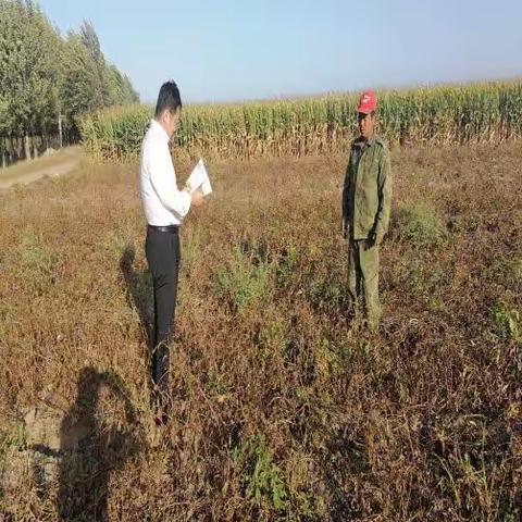 实施乡村振兴战略，建设美丽新时代美丽乡村