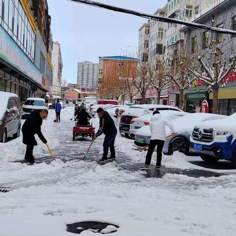 “铲雪除冰，传递温情”英中街道莲花池社区铲雪便民行