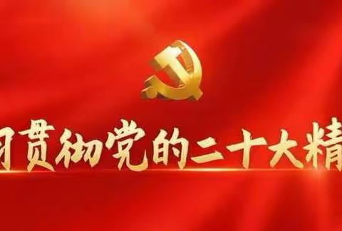 党纪学习教育学习会暨5月主题党日活动——长清区平安新李小学