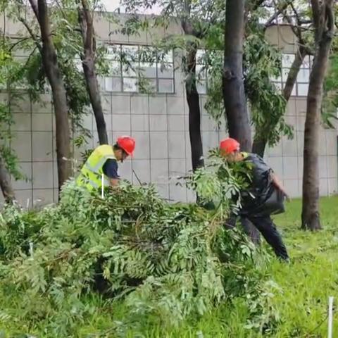 逆流冲锋 风雨守护——文锦渡口岸全力守护通关安全