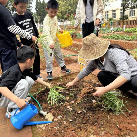 2202班劳动基地之旅：种下希望，收获成长！