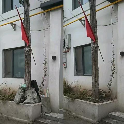 新华菜场常态化推进文明城市建设工作动态（11月8日至11月14日)