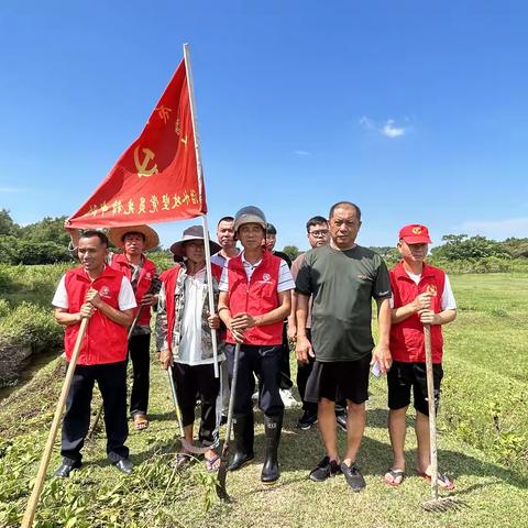 公坡镇新华村推进“六水共治” 打造水清河畅、岸绿景美的生态乡村