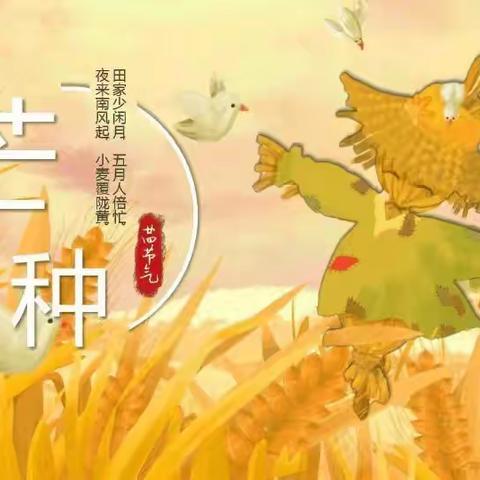 星星一班二十四节气之芒种——杨梅冰粉