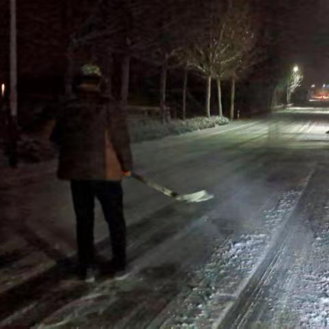 雪中暖色