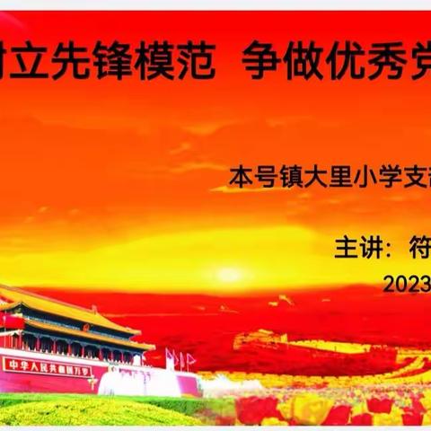 “树立先锋模范 争做优秀党员”——本号镇大里小学 支部委员会主题党课