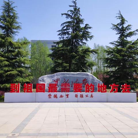 名师引领促成长，携手扬帆共启航——“国培计划(2022)”庆阳市市级小学体育骨干教师培训纪实(二)