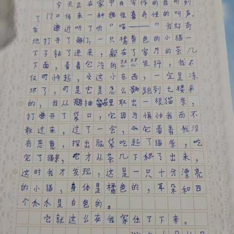 寒假百字作文展播 第二期