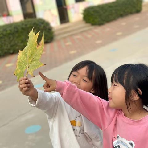 与秋叶共起舞—风化店乡大白头幼儿园“留住秋天的美好”之系列活动