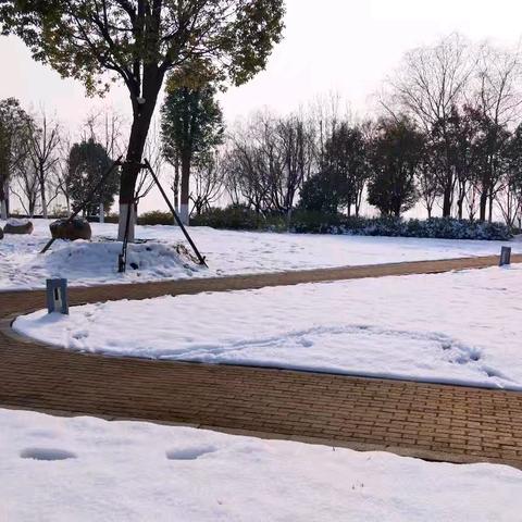 2026年的第一场雪