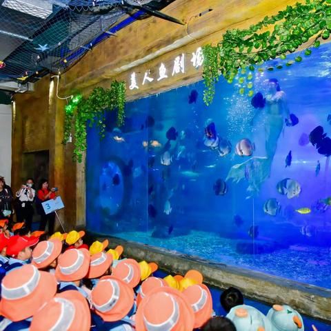 放飞探索梦想，体验别样课堂——2024年秋季海口市美兰实验小学研学活动