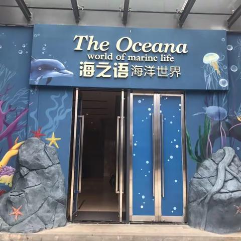 探秘海洋奇境，漫游泰迪世界 ——海口市滨海第九小学美丽沙分校一年级学生社会实践活动