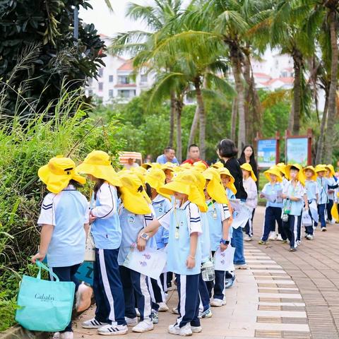 畅游白沙门，探寻自然美 ——2025年秋季海口市滨海第九小学美丽沙分校一年级社会实践活动