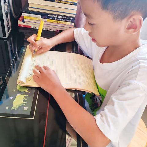 理论与实践相结合