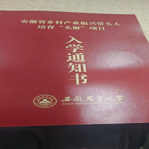 领航新农人，耕好家乡田