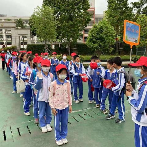 2023年4月3日厚德小学大鹏农场一日游