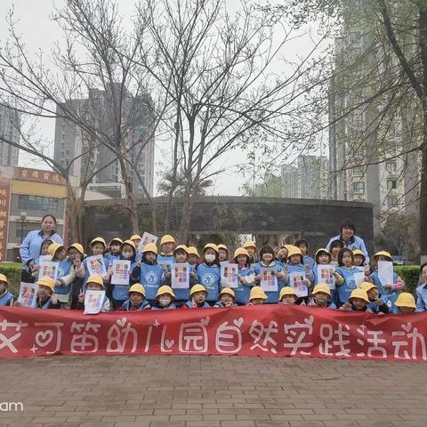 艾可笛幼儿园大一班宝贝的精彩生活