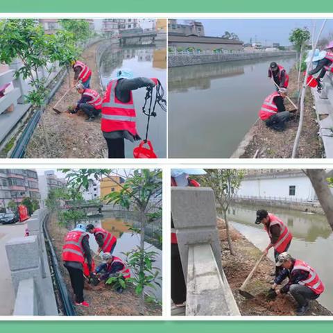 植树护河齐参与 水清岸绿促振兴