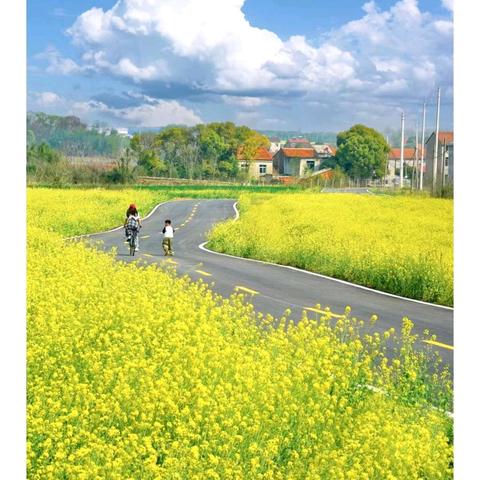 湖坊中学清明假期致 家长一封信