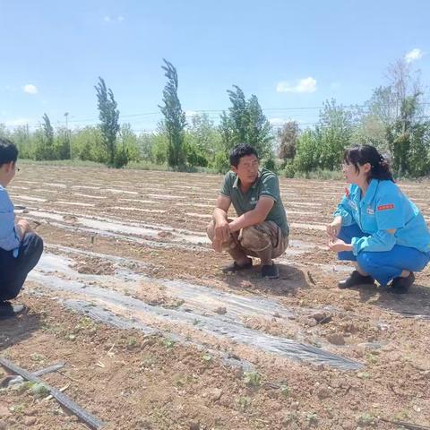 【戈壁明珠】石河子销售公司包家店加油站转观念增收入 化肥销售展新篇