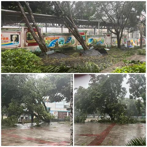 风雨同舟战“摩羯”，齐心协力助复学--澄迈县实验小学抗灾复学工作纪实