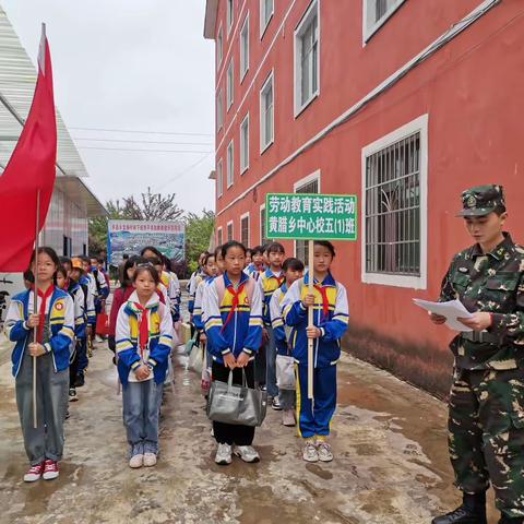 在劳动中学习，在实践中成长