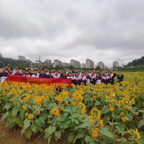 植物园科学探究活动—明德洞井中学2306班全体学生一起探究《向日葵》