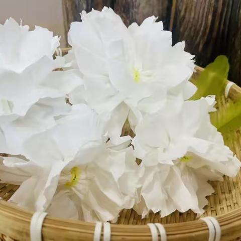 王助镇实验幼儿园清明节主题教育活动