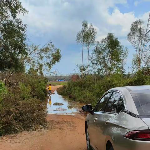 海南林源律师事务所赵倩倩律师2024年9月村(居)法律顾问工作简报