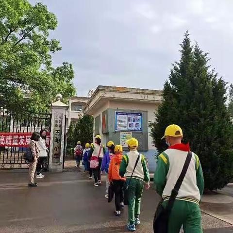 五阳小学一日工作动态