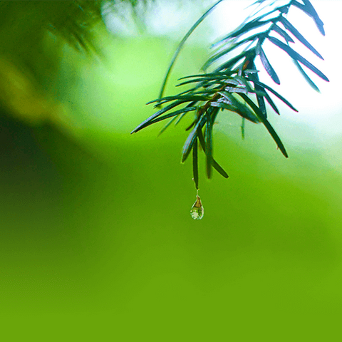 聚焦新变化 赋能新课堂——2024年秋季学期广西教研员叶海燕领航工作坊统编版一年级新教材阅读单元教学主题教研活动